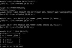 Database and Tables in MySQL