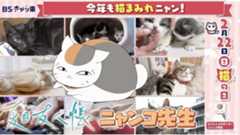 【ＢＳキャッ東】「夏目友人帳」のニャンコ先生がナレーションを担当した「猫の日」宣伝スポットが完成！