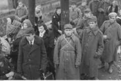 Za klęskę wrześniową przed trybunał