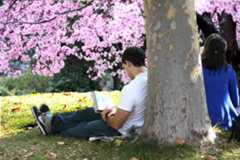 IMG_Estudiantes-leyendo