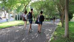 Acceso o admisión UAM para estudiantes extranjeros