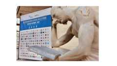 XXV Encuentro de la Conferencia Estatal de Defensorías Universitarias 2023