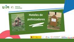 Imagen HOTELES DE POLINIZADORES