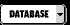 Database