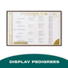 Display Pedigree