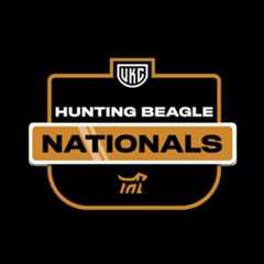 UKC Hunting Beagle Nationals