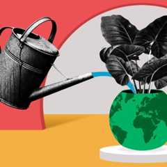 Photocomposition: illustration with watering can pouring water into a plant