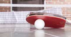 Tennis de table_Univ La Rochelle