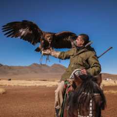 Arman Alizad Keynote Puhuja Verbal Oy