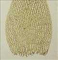 foto51623
