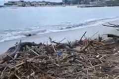 Budva: Slovenska plaža zatrpana otpadom i smećem koje je more...