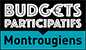 Budgets participatifs