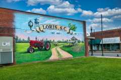 Loris Mural