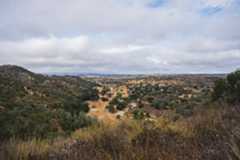 Los Padres National Forest