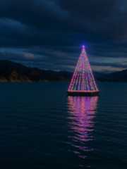 Cachuma Lake tree lighting a festivities