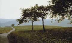 Retrospektywna wystawa Gerharda Richtera pokazuje 275 prac niemieckiego artysty 