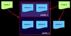 Graph illustrating one possible organization of profiles, modules and levels