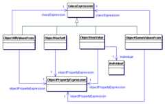 Restricting Object Property Expressions in OWL 2