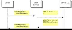 Diagram shows protocol exchange between a client, a trust service and a remote server (Server A). 