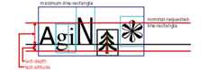 Nominal and Maximum Line Rectangles