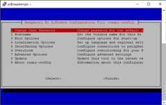 raspi-config Main Screen