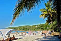 Things to do in Noosa