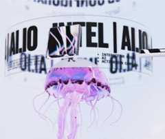 Websites &amp; Mobile Sites