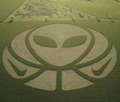 Advertising, Media, &amp; PR