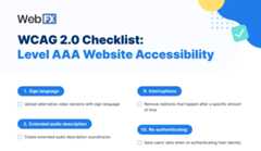 Preview of level AAA accessibility checklist