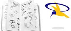 An open notebook with various logo sketches on the left and a stylized graphic of a blue and yellow hummingbird on the right.
