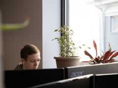 Man wearing headphones working at desk with monitor, accompanied by potted plants near sunlit window