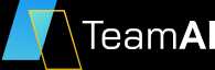 TeamAI Stadard