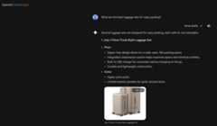 A screenshot on Gemini referring a brand in response to a user query about luggages.