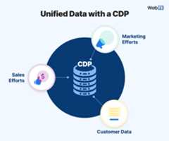 Unified Data with a CDP