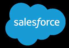 Salesforce Logo 4