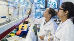 Two lab students in white lab coats, one with a market abour to write on a piece of glass attached to a ventilation system.