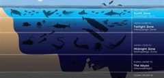 ocean zones