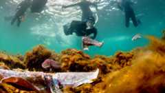 Carl-Charter-snorkel_WEB