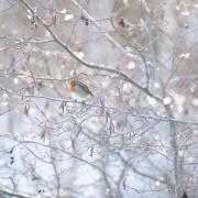 An ice warning is in force across parts of the UK (Jane Barlow/PA)