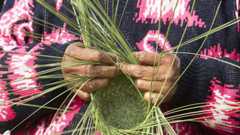 Indigenous and local community visual