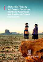 WIPO publication 933 cover