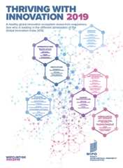 Infographic PDF: Global leaders in different dimensions of the GII 2019