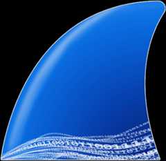 Wireshark Logo