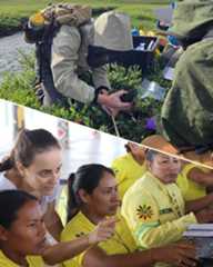 Resolute, for a better climate future.