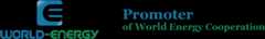 World Energy