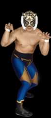 Tiger Mask
