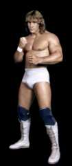 The Von Erichs