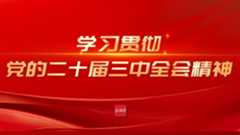 学习贯彻党的二十届三中全会精神