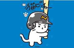 猫ピッチャー17巻