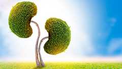 不摂生をしがちなあなたへ～腎臓を守る秘技